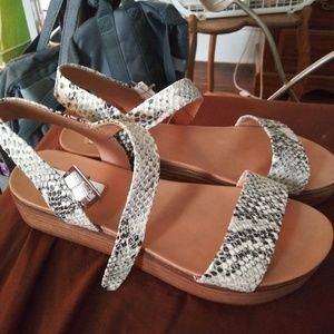 Steve Madden snakeskin sandals